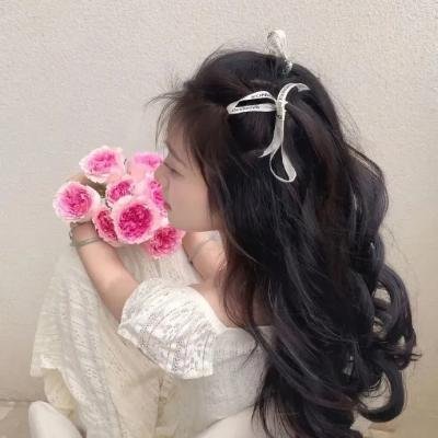 撒旦日记